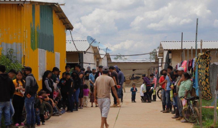 Rescatan a 700 víctimas de explotación laboral en rancho de Guanajuato Rescatan a 700 víctimas de explotación laboral en rancho de Guanajuato