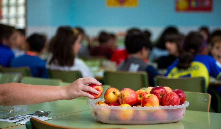 Un gran estudio confirma la relación entre seguir una dieta respetuosa con el planeta y una menor mortalidad | Salud y bienestar Un gran estudio confirma la relación entre seguir una dieta respetuosa con el planeta y una menor mortalidad | Salud y bienestar