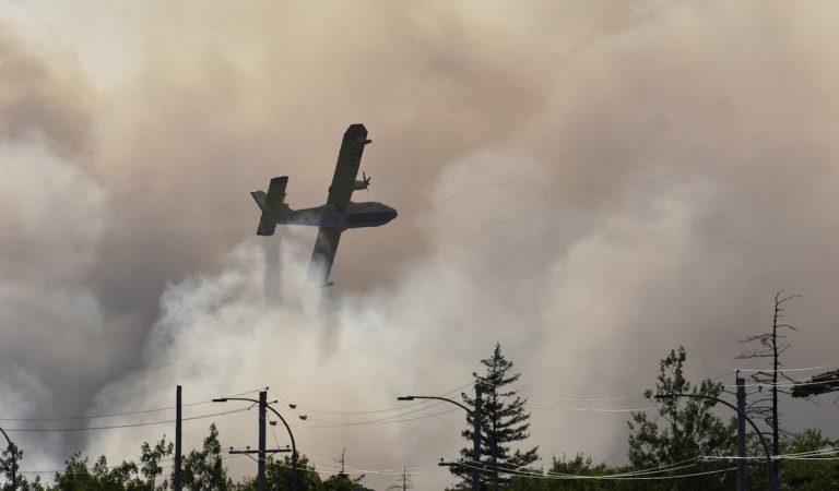 Millones de hectáreas arrasadas y más de 600 incendios activos en Canadá | Clima y Medio Ambiente Millones de hectáreas arrasadas y más de 600 incendios activos en Canadá | Clima y Medio Ambiente